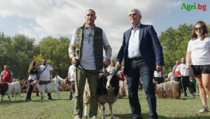 Заслужил майстор по класически културизъм отглежда кози Боер и овце Джейкъб - Снимка 1