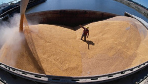 Търговия: Цените на зърното падат до 6-месечно дъно