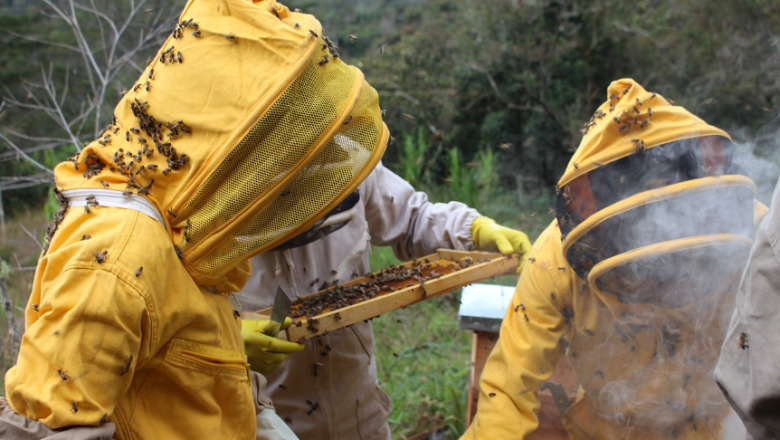 Плевенски пчелари се кооперират в търсене на по-добри условия за бизнеса си