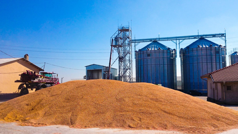 Позиция: Вносът на зърно от Украйна продължава и подбива цената