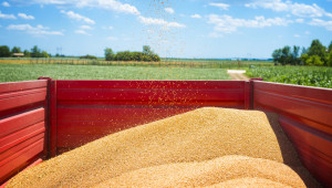Какво вещаят фючърсните зърнени пазари?