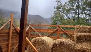 Торнадото в Смолянско отвя покрива на семейна овцеферма - Снимка 4