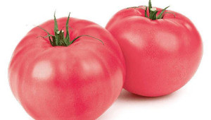 Има начин да запазим полезни доматите през зимата