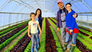 Близката ферма: Как се отглеждат оранжерийни зеленчуци без плуг, фреза и химически пестициди