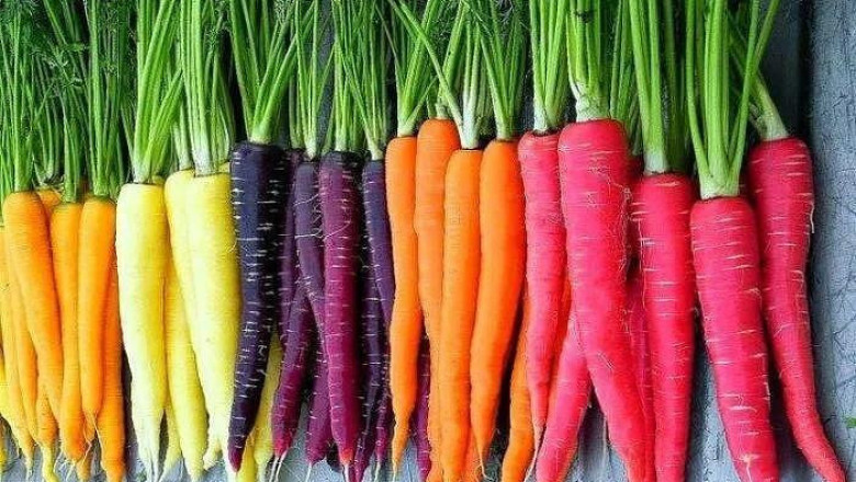 Неприятели застрашават реколтата от моркови
