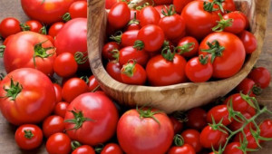 Изисквания към външните условия за отглеждане на домати
