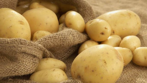 Картофи - ботаническа и агробиологична характеристика