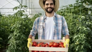 Ранно производство на домати в отоплявани оранжерии - Agri.bg