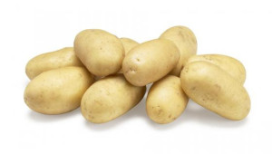 Иверце - първият български ран сорт картофи
