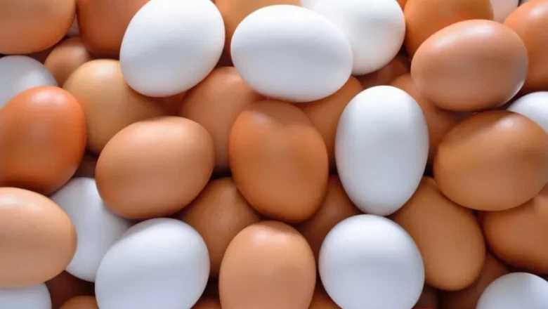 Фактори влияещи на масата на яйцата