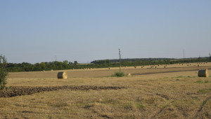Продажбата на държавни земеделски земи: темата продължава - Agri.bg