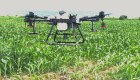 Пръскане със земеделски дрон - Снимка 1