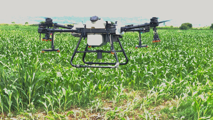 Пръскане със земеделски дрон - Снимка 1