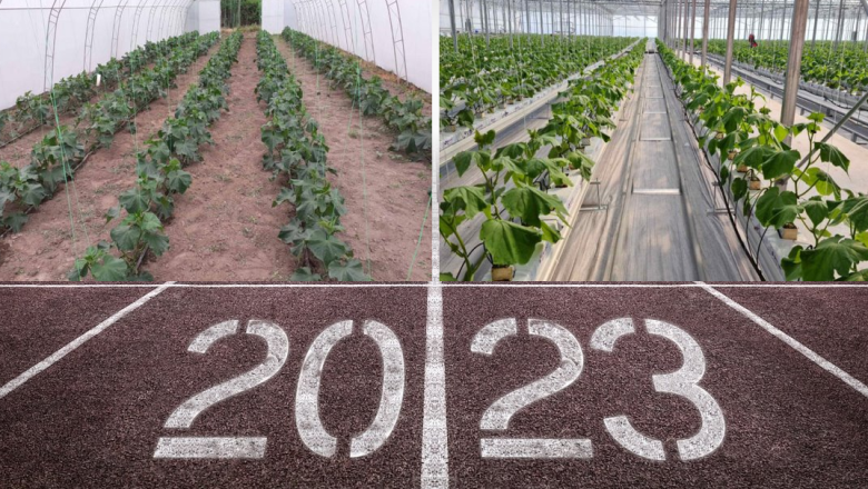 Оранжериите през 2023 г.: Късен старт и ранен финал за производството, но надеждата е жива