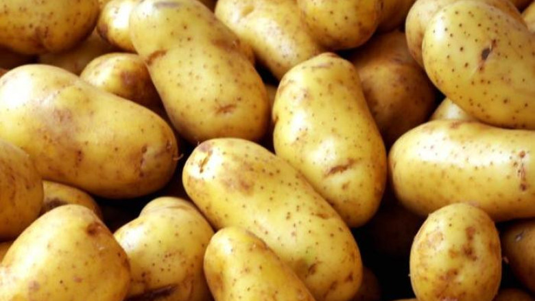 Изисквания на ранните картофи към почвената и въздушната влажност