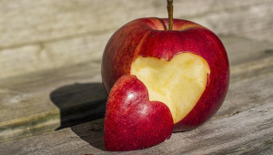 Ябълката е един от най-студоустойчивите овощни видове, отглеждани у нас