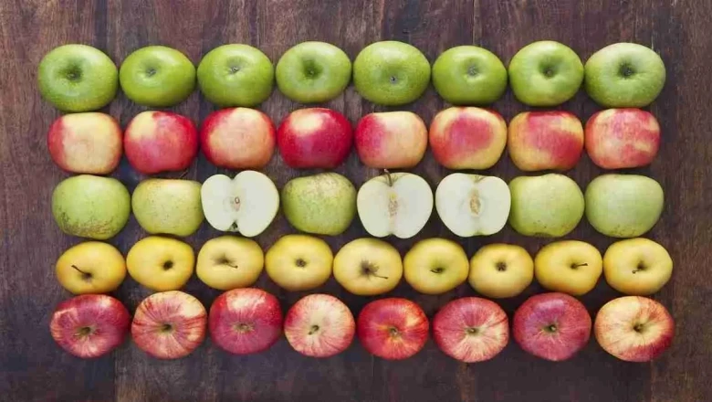 Отглеждане на ябълки - особености