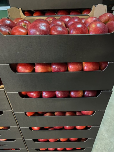 Предлагаме зеле, картофи и ябълки - Снимка 9