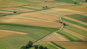 Земеделски земи продължават да се водят урбанизирани терени - Agri.bg
