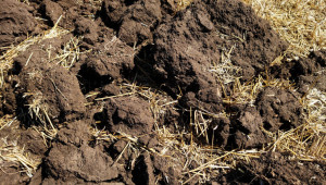 Промени на торовия азот в почвата
