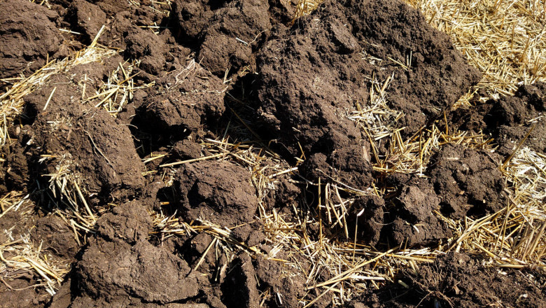 Промени на торовия азот в почвата