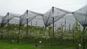 Системи против градушки за защита на овощните насаждения - Agri.bg