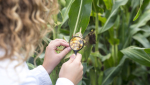 Биопроизводителите не желаят ГМО - Agri.bg