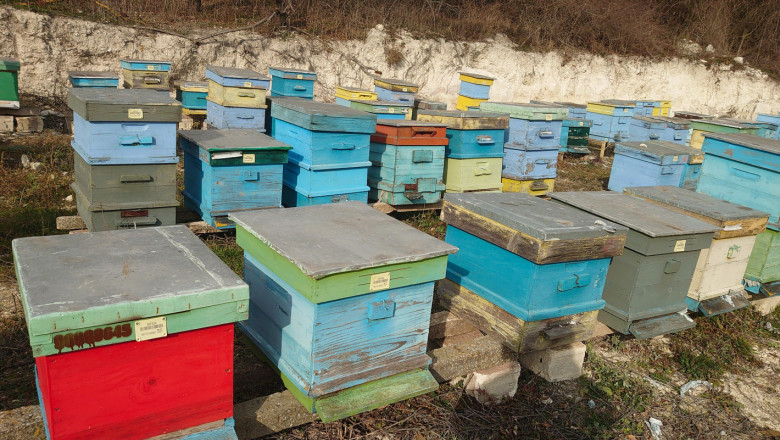 Пчелари: Няма пазар за меда, цената продължава да се срива