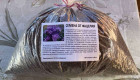 Фацелия-семена 15лв/кг - Снимка 1