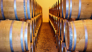 Отварят прием по две интервенции в лозаро-винарския сектор - Agri.bg