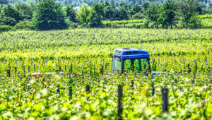 Ясни са инструкциите за кандидатстване по две мерки в лозаро-винарския сектор
