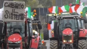 Докато заседава Европейският съвет: Белгийските фермери планират блокада в Брюксел - Agri.bg