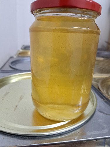 Продавам Акациев пчелен мед от акация- Безплатна доставка - Снимка 1