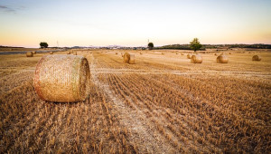 Сделка за 30 000 евро за хектар румънска земеделска земя