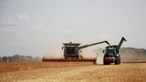 Какво ще бъде световното производство на зърно?