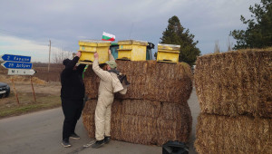 Втори ден протести: Пчелари трошат кошери в знак на недоволство