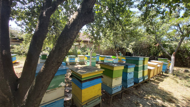 Приемът по пчеларските интервенции може да бъде удължен