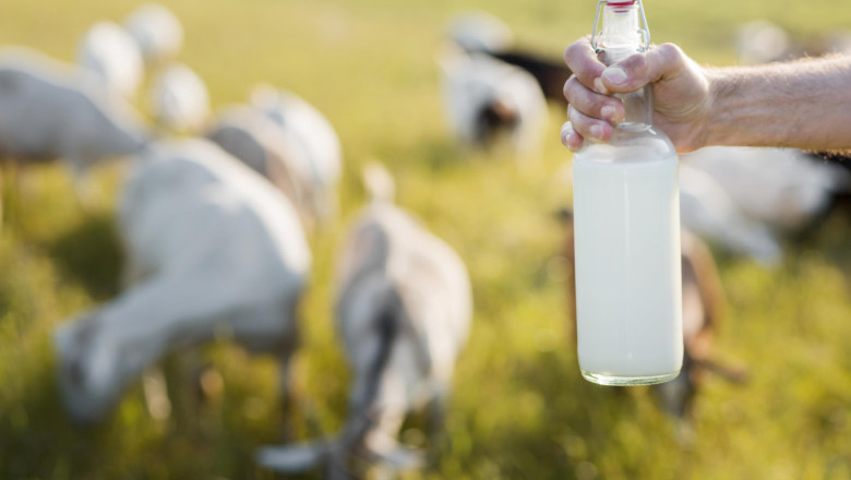 Сухо мляко и сухо вещество в млякото – каква е разликата?
