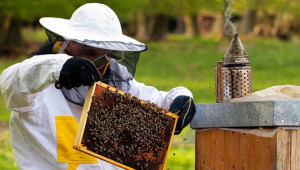 ДФЗ отпуска кредити за пчелари
