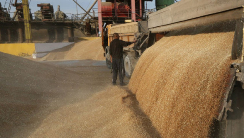 Още по-надолу: Цените на пшеницата падат под 200 евро/т