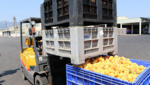Ще има ли повече събирателни центрове за плодове и зеленчуци в страната?
