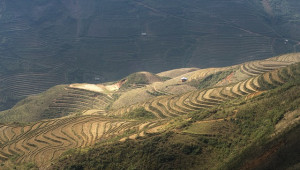 Китай превръща пустинните райони в обработваема земя с помощта на паста - Agri.bg