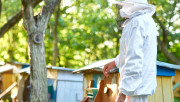 Приключи приемът по пчеларските интервенции - Agri.bg