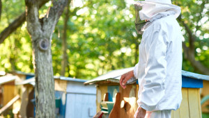 Приключи приемът по пчеларските интервенции