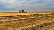 Министерството обяви кои зърнено-житни стопанства са подали заявления за директни плащания - Agri.bg