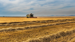 Министерството обяви кои зърнено-житни стопанства са подали заявления за директни плащания