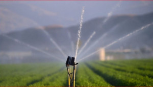 Вижте цената на водата за напояване за предстоящия поливен сезон спрямо 2023 г.