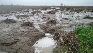 Водната ерозия се проявява по-силно при леките почви - Agri.bg