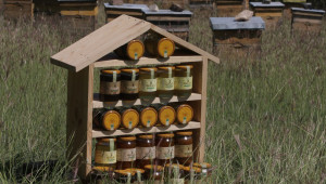 Млад фермер за пчеларството: Захванеш ли се веднъж, няма връщане назад - Снимка 2