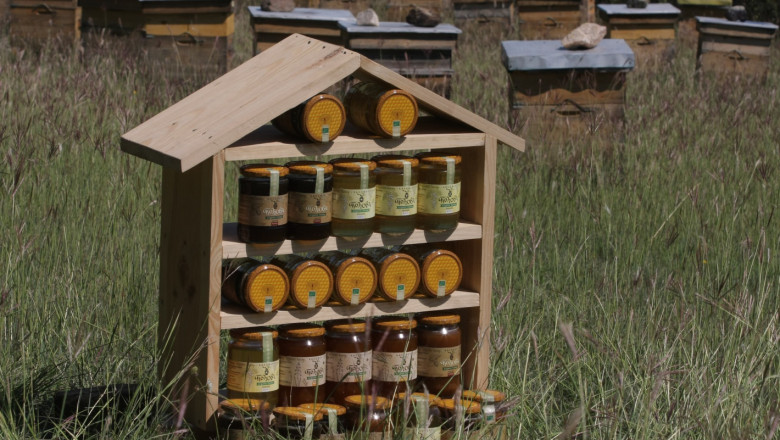 Млад фермер за пчеларството: Захванеш ли се веднъж, няма връщане назад